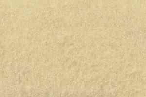 Ковролин Sommer Needlepunch Exposhow Exposhow Ivory 9506 фото  | FLOORDEALER